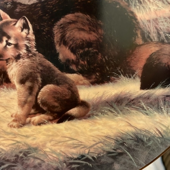 The Red Wolf Will Nelson Vintage Last of Their Kind: Endangered Species Plate - Picture 13 of 16